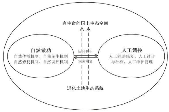 國土空間生態(tài)修復的技術(shù)范式 邁向系統(tǒng)化生態(tài)恢復的路徑