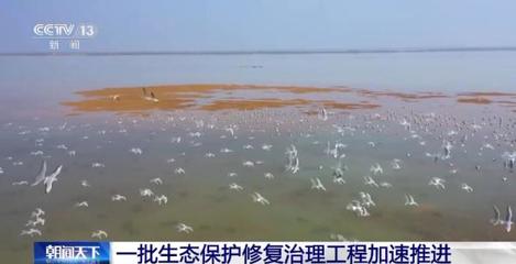 筑牢生態(tài)屏障 農(nóng)業(yè)面源污染攔截與濕地修復工程全面加速