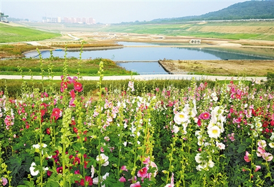 砥礪奮進五年間 生態(tài)文明建設展區(qū)見證綠色奇跡