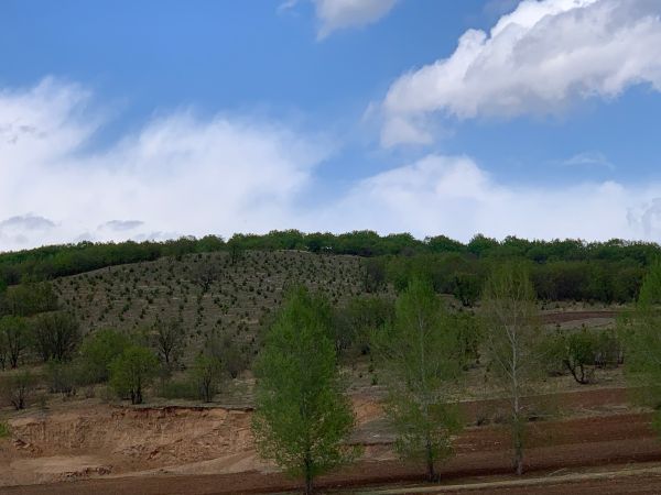 科學植綠護綠，創(chuàng)建綠化先進，助力生態(tài)恢復