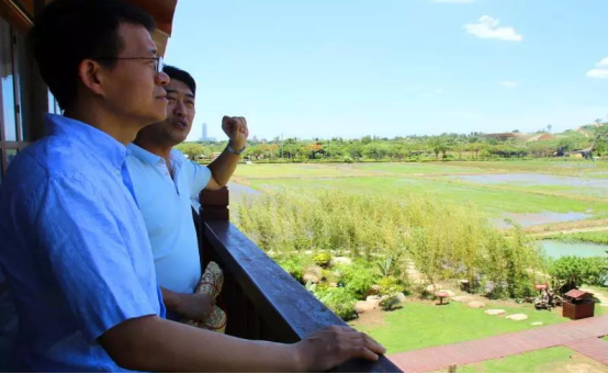 加強濕地生態(tài)治理 助推農(nóng)業(yè)與旅游深度融合——張云華副部長一行調研水稻國家公園生態(tài)恢復工作